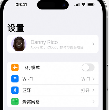 石柱appleID维修服务iPhone设置中Apple ID显示为灰色无法使用 