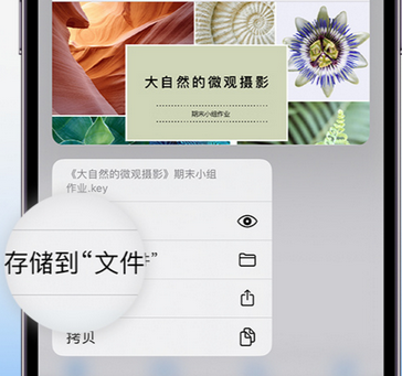 石柱apple维修中心分享iPhone文件应用中存储和找到下载文件