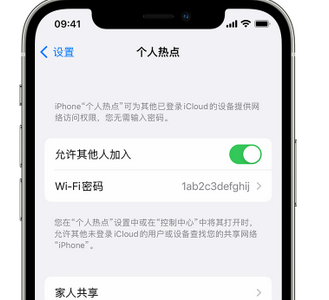 石柱apple服务站点分享iPhone上个人热点丢失了怎么办 