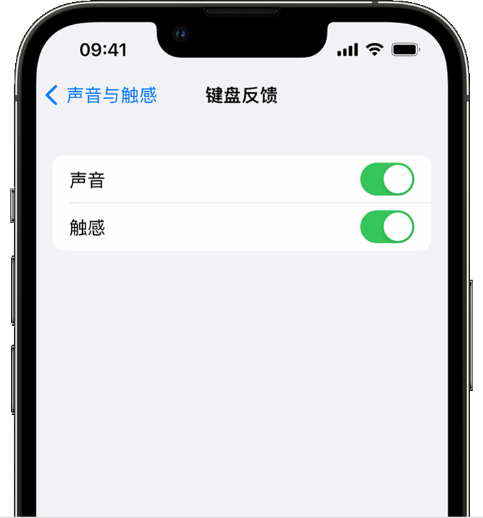 石柱苹果14维修店分享如何在 iPhone 14 机型中使用触感键盘 