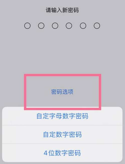 石柱苹果14维修分享iPhone 14plus设置密码的方法 