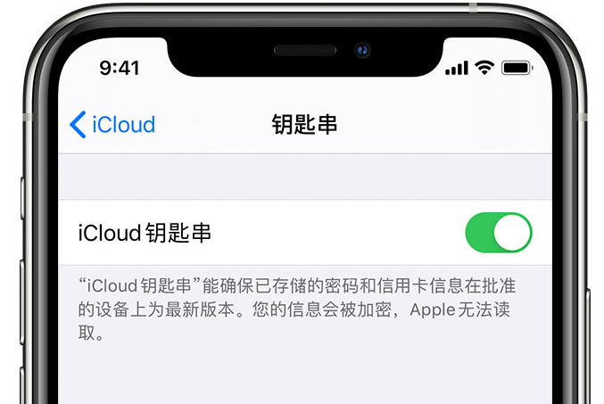 石柱苹果手机维修分享在 iPhone 上开启 iCloud 钥匙串之后会储存哪些信息 