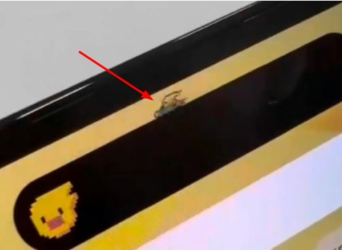 石柱苹果14维修分享iPhone 14 Pro Max灵动岛怎么养宠物 