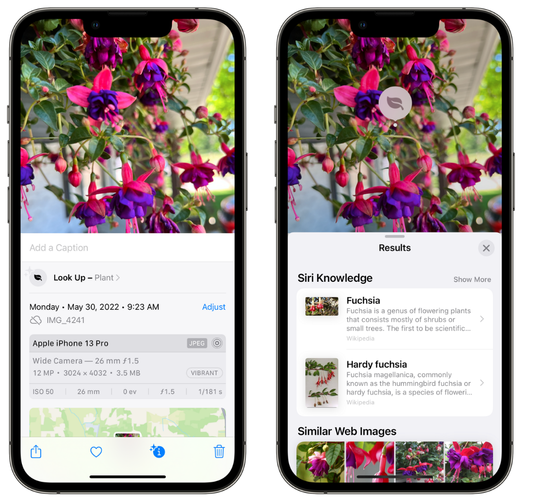 石柱苹果手机维修分享小技巧：使用 iPhone 相机识别花卉植物 