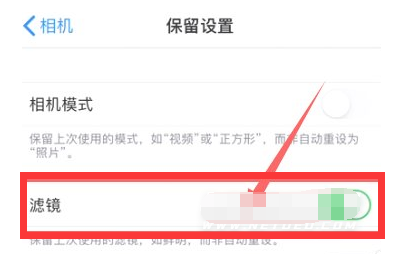 石柱苹果13维修分享iPhone13拍照有绿点是怎么回事 